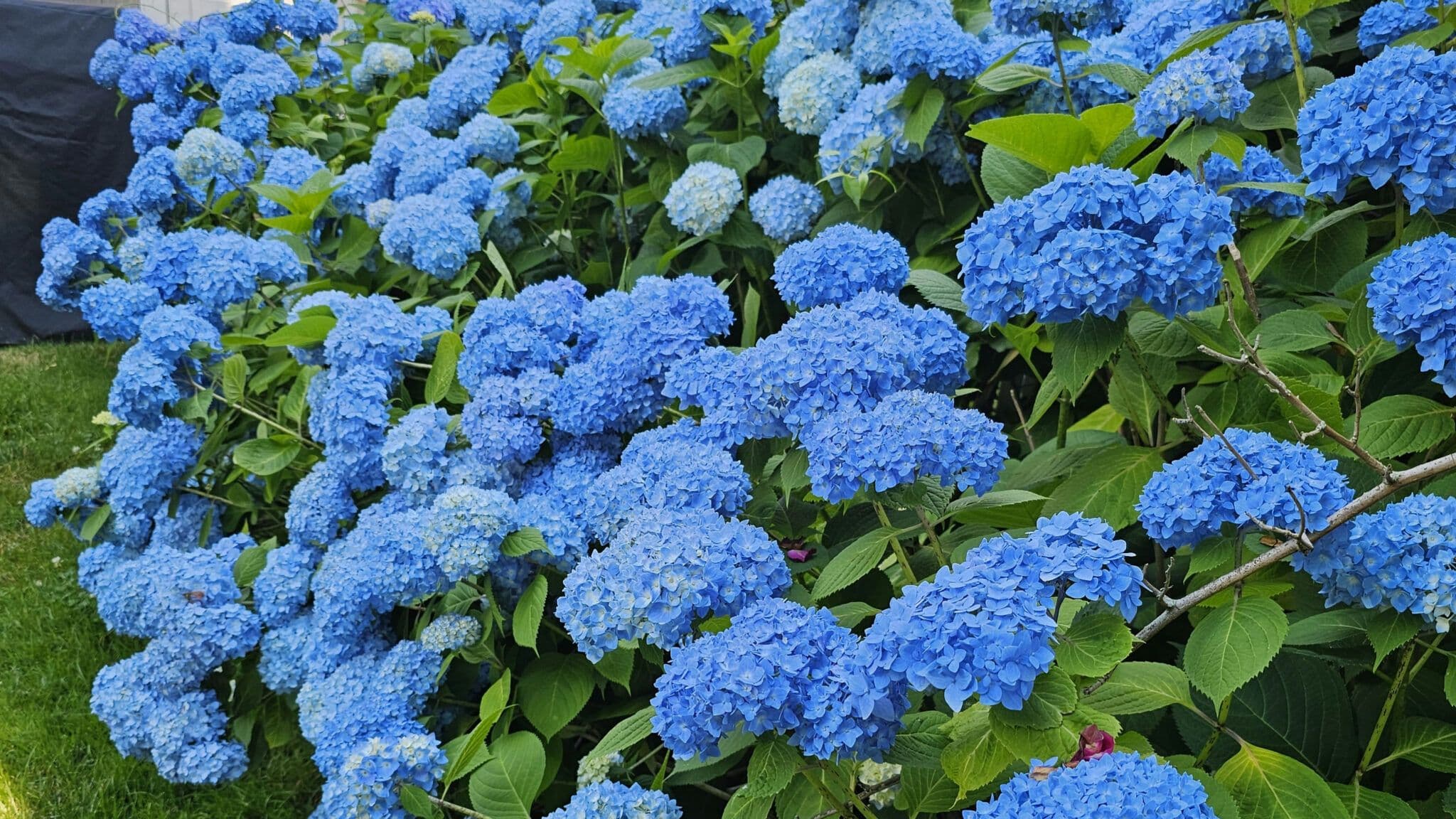 Embrace Summer Bliss On The Cape